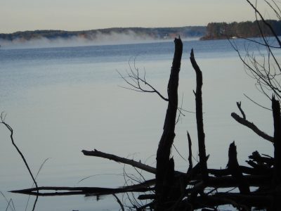 Read more about the article Tournament Results Lake Hartwell, SC June 1, 2019